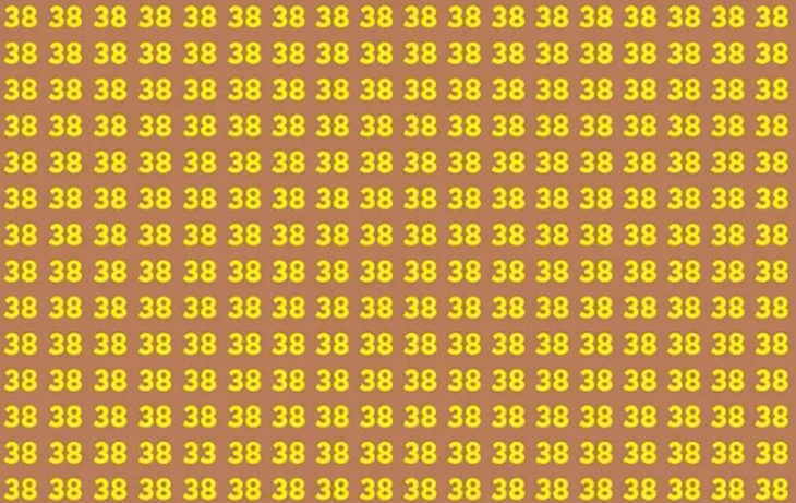 Thử tài tinh mắt - Ảnh 3.