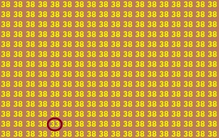 Thử tài tinh mắt - Ảnh 4.