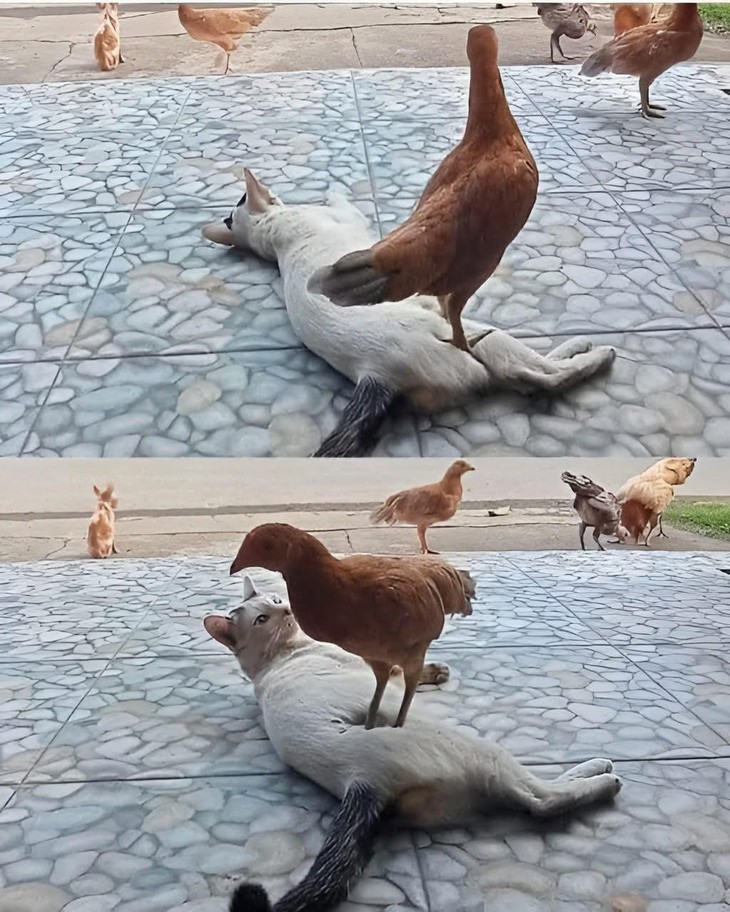 cái tên - Ảnh 4.