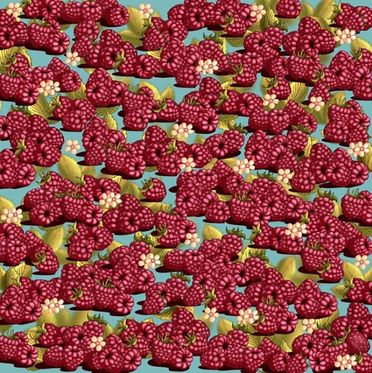 Thử tài tinh mắt - Ảnh 3.