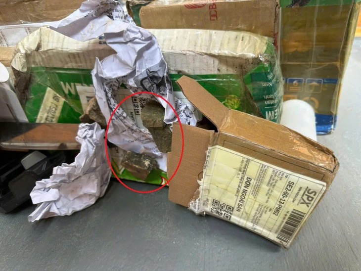 hoạt hình - Ảnh 2.