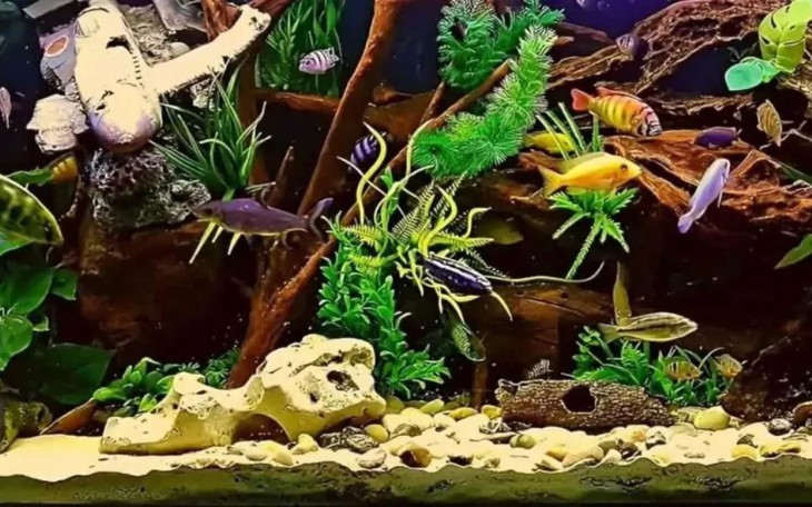 Đuổi hình bắt chữ: Đây là từ khóa nào? (P50) - Ảnh 7.