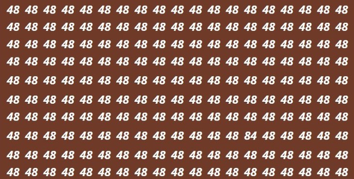 cá ngựa - Ảnh 3.