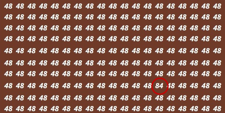 cá ngựa - Ảnh 4.