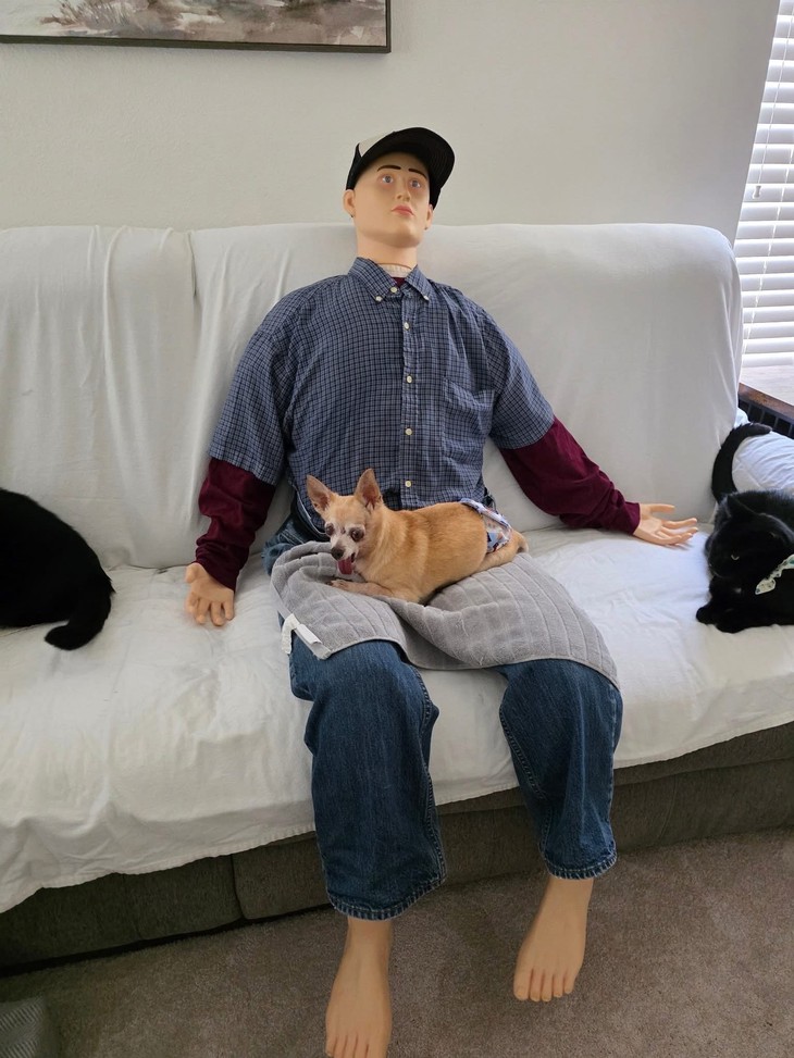 Ảnh vui 17-9: 'Không biết nên cho nhỏ này 3 mũi không ta?' - Ảnh 4.