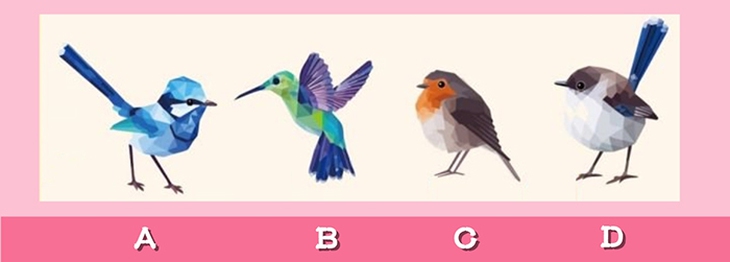 Quiz: Ai mới là người bạn đời trọn kiếp của bạn? - Ảnh 1.