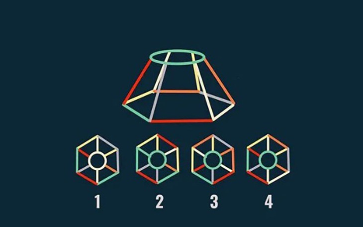 Thiên tài mới thấy con chim bồ câu ẩn giấu ở đâu? - Ảnh 8.