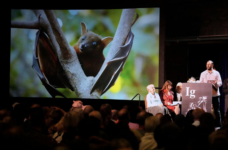 Ig Nobel 2025: Trẻ sơ sinh thích bú sữa khi mẹ mới ăn tỏi - Ảnh 3.