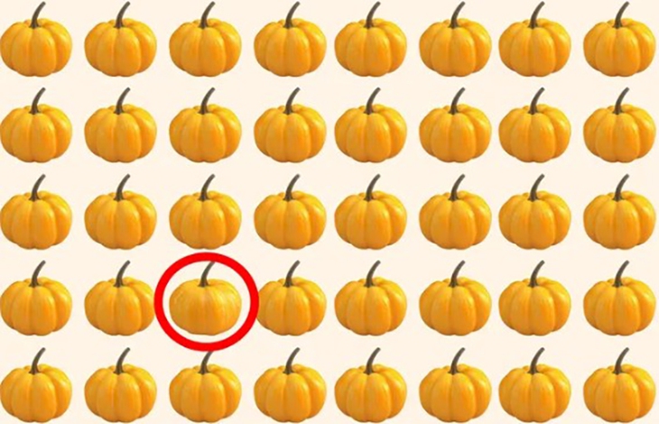 Thử tài tinh mắt: Cá sấu ẩn nấp ở đâu? - Ảnh 4.