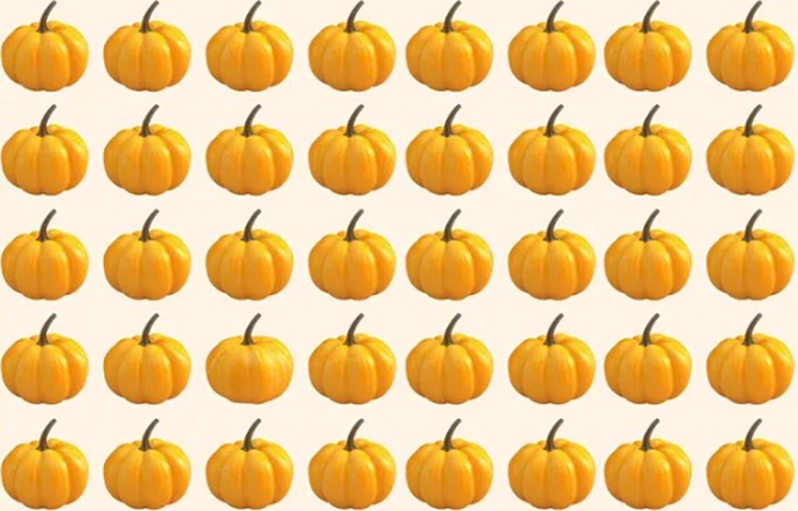 Thử tài tinh mắt: Cá sấu ẩn nấp ở đâu? - Ảnh 3.