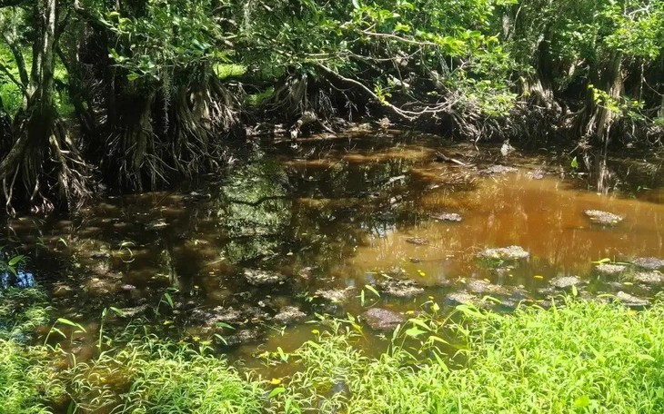 Đếm số hình tam giác trong 9 giây - Ảnh 5.