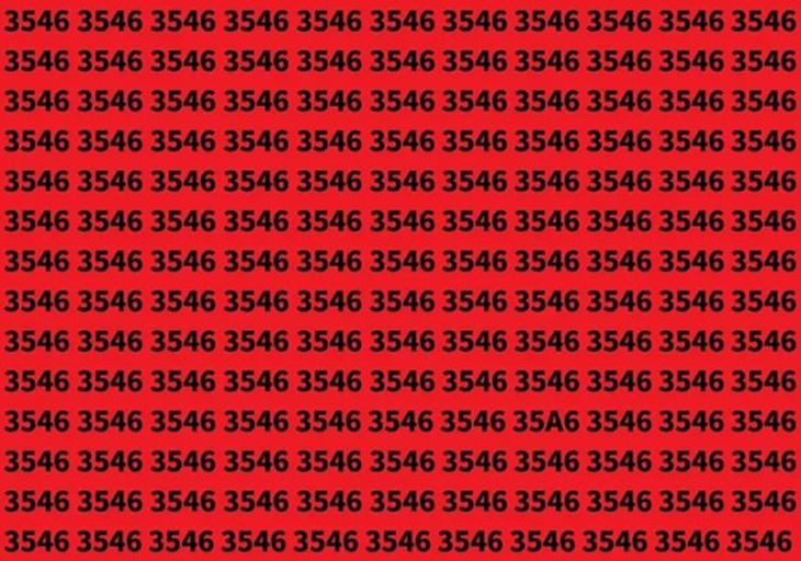 Thử tài tinh mắt: Con rắn ngụy trang ở đâu? - Ảnh 4.