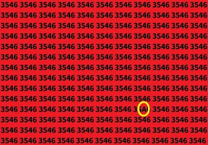 Thử tài tinh mắt: Con rắn ngụy trang ở đâu? - Ảnh 5.