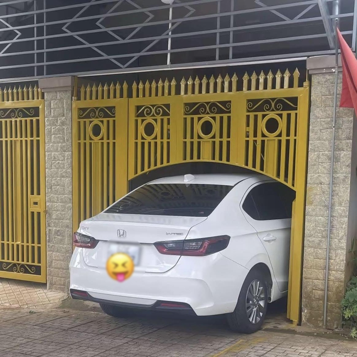 Ảnh vui 23-9: Áp lực... đồng trang lứa - Ảnh 3.