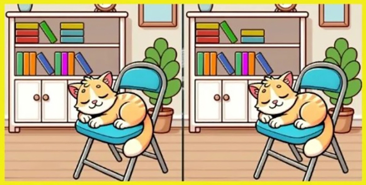 Thử tài tinh mắt: Con rắn ngụy trang ở đâu? - Ảnh 6.