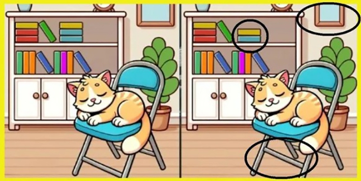 Thử tài tinh mắt: Con rắn ngụy trang ở đâu? - Ảnh 7.