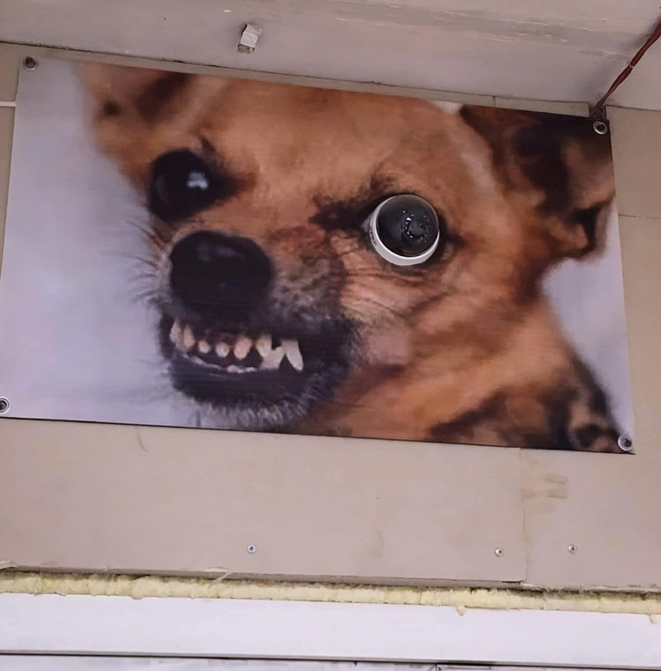 Ảnh vui 25-9: 'Sự tiến hóa' của chữ A - Ảnh 5.