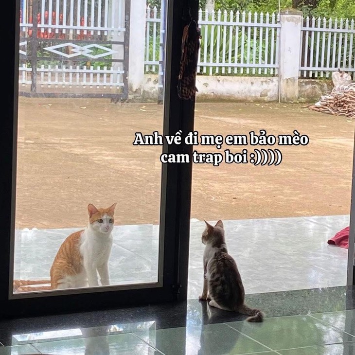 Ảnh vui 25-9: 'Sự tiến hóa' của chữ A - Ảnh 2.