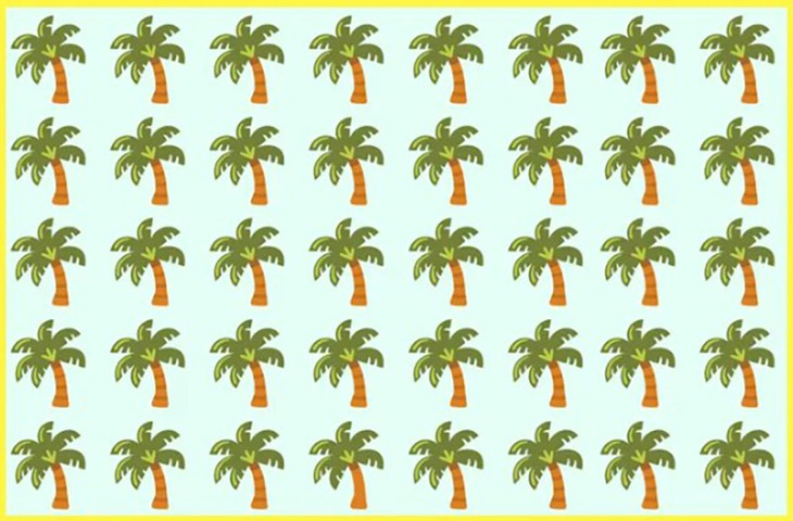 Thử tài tinh mắt: Chỉ 5% người tìm thấy con ếch trong 7 giây - Ảnh 3.