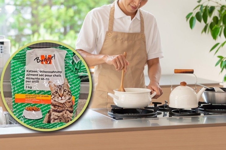 Chàng trai ăn thức ăn cho mèo để có tiền học tiến sĩ - Ảnh 1.