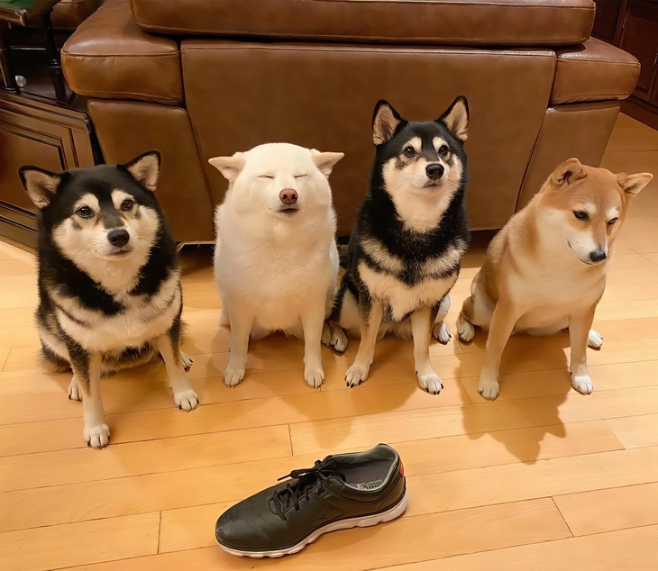 Ảnh vui 27-9: Hằng Nga 'lực điền' xuất hiện giữa mùa Trung thu - Ảnh 4.