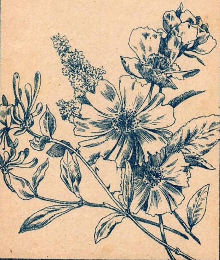 Hai cậu bé ẩn giấu ở đâu? - Ảnh 1.