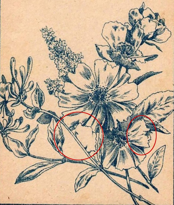 Hai cậu bé ẩn giấu ở đâu? - Ảnh 2.