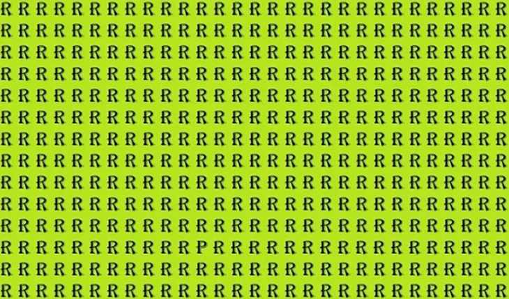 Con rắn ngụy trang ở đâu? - Ảnh 3.