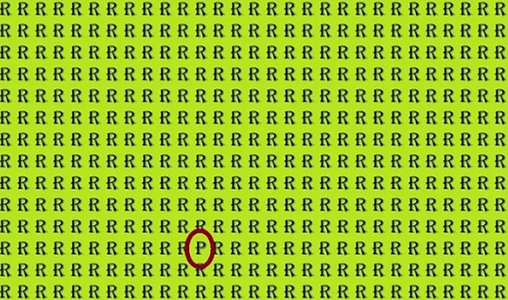 Con rắn ngụy trang ở đâu? - Ảnh 4.