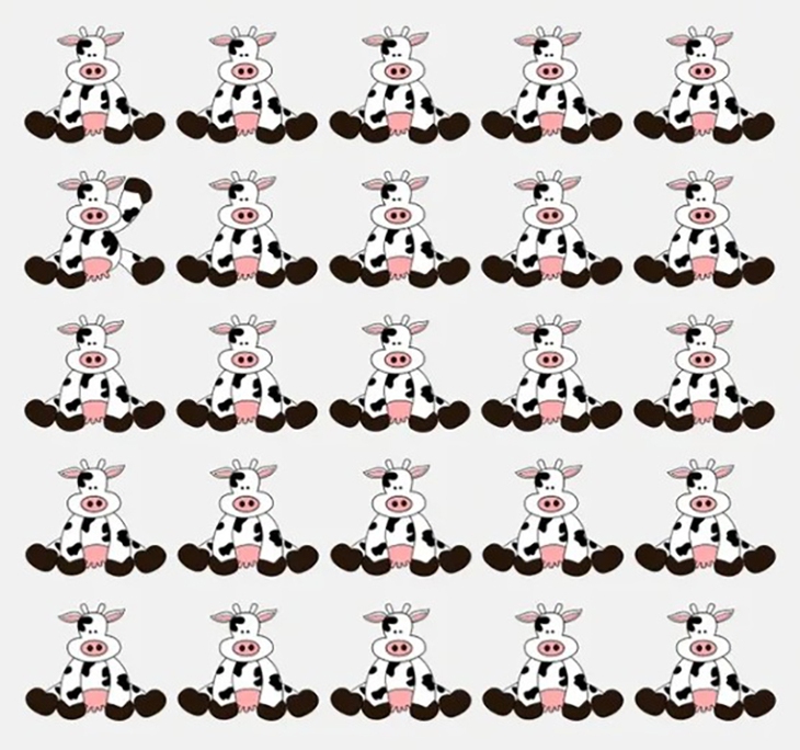 Hai cậu bé ẩn giấu ở đâu? - Ảnh 3.