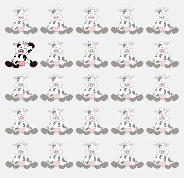 Hai cậu bé ẩn giấu ở đâu? - Ảnh 4.