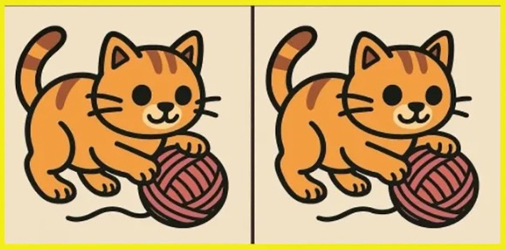 Con rắn ngụy trang ở đâu? - Ảnh 5.