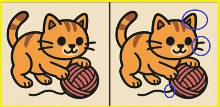 Con rắn ngụy trang ở đâu? - Ảnh 6.