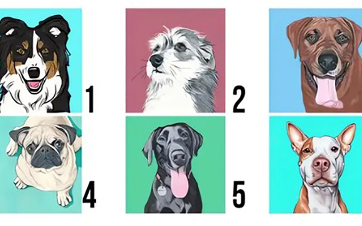 Quiz: Chỉ số si tình của bạn cao hay thấp? - Ảnh 4.