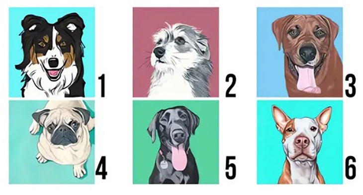 Quiz: Bạn cởi mở, hào phóng hay là người lạc quan? - Ảnh 1.