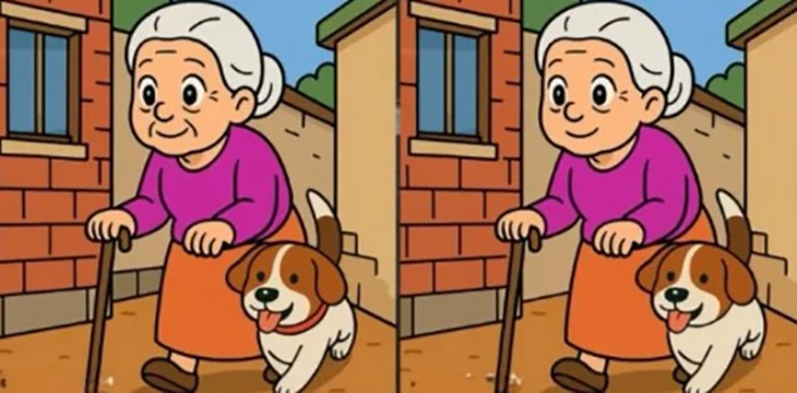 Thử tài tinh mắt: Con mèo ở đâu? - Ảnh 5.