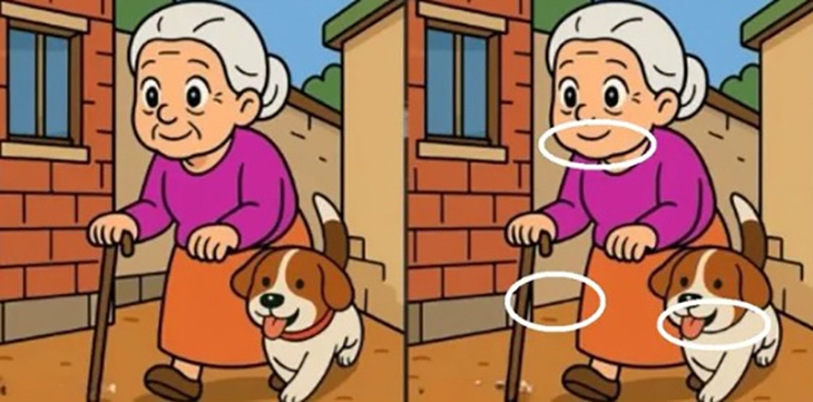 Thử tài tinh mắt: Con mèo ở đâu? - Ảnh 6.