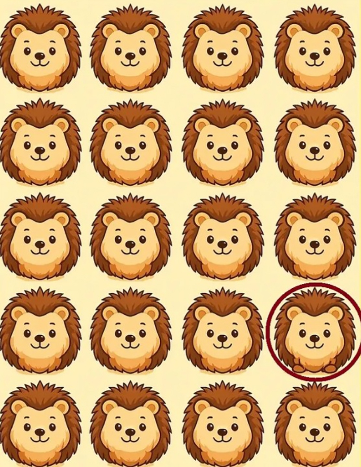 Thử tài tinh mắt: Con mèo ở đâu? - Ảnh 4.