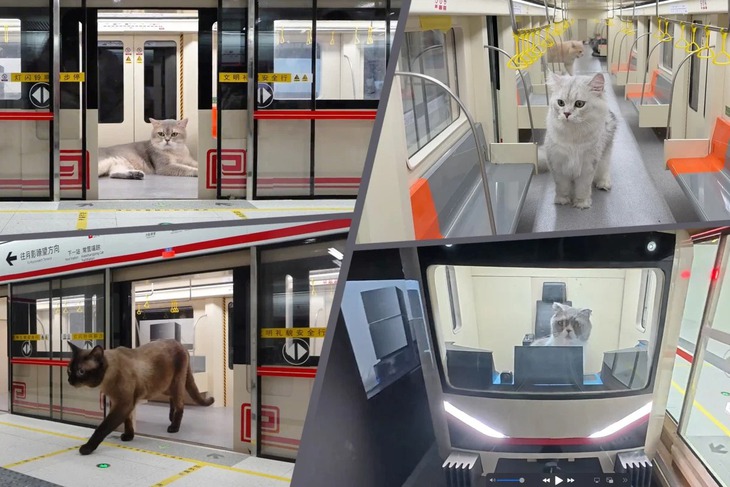 tàu điện ngầm - Ảnh 1.