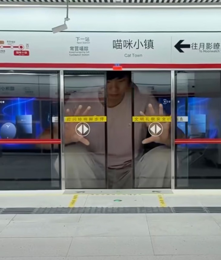 Chàng trai xây tàu điện ngầm cho... mèo  - Ảnh 3.