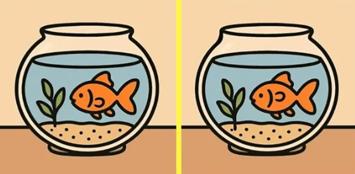 Thử tài tinh mắt - Ảnh 5.