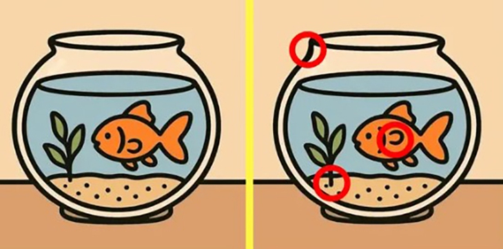 Thử tài tinh mắt - Ảnh 6.