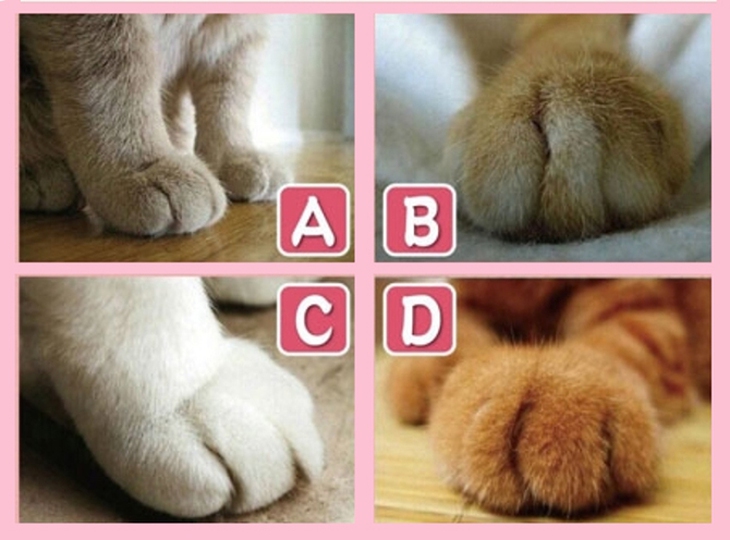 Quiz: Lựa chọn nhìn thấu cách bạn hành xử khi yêu - Ảnh 1.