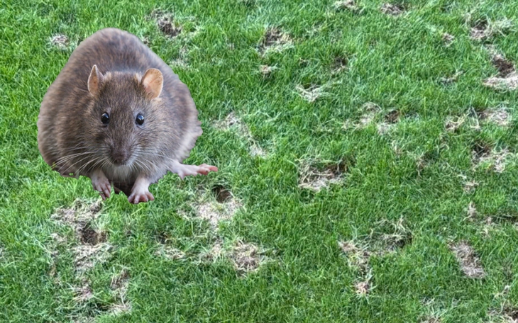 Chuyến bay 7.000km ‘giải cứu tinh thần’ cho Real Madrid - Ảnh 4.