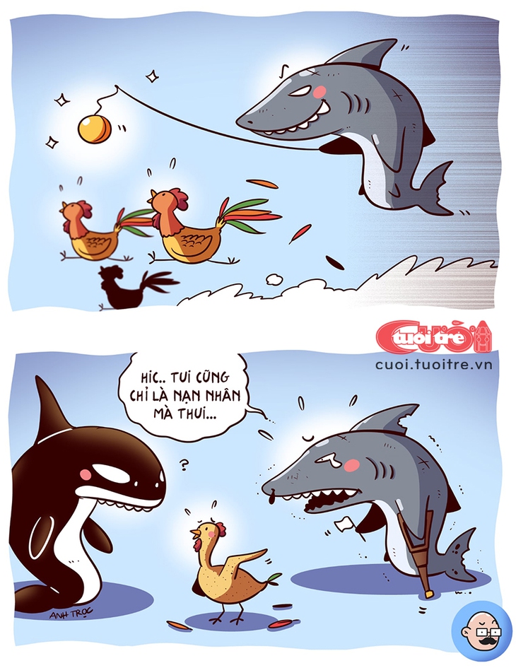 Cá mập cũng bị... 'úp bô'? - Ảnh 1.