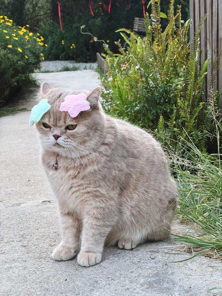 phép toán - Ảnh 3.