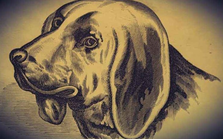 Thử tài IQ: Di chuyển một que diêm để 14+6=9 thành phép tính đúng - Ảnh 7.