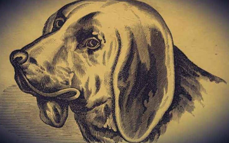 ông chủ - Ảnh 1.