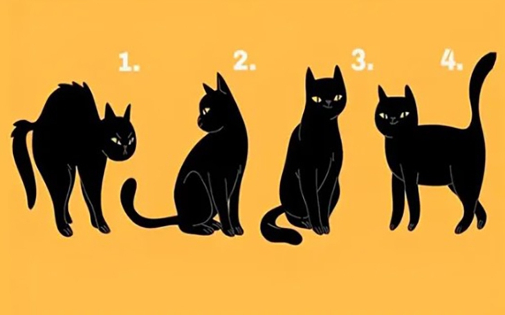 Quiz: Bạn sẽ gặp gỡ được 'định mệnh' của đời mình ở đâu? - Ảnh 3.