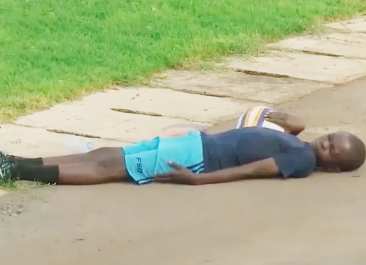 đàn ong - Ảnh 2.